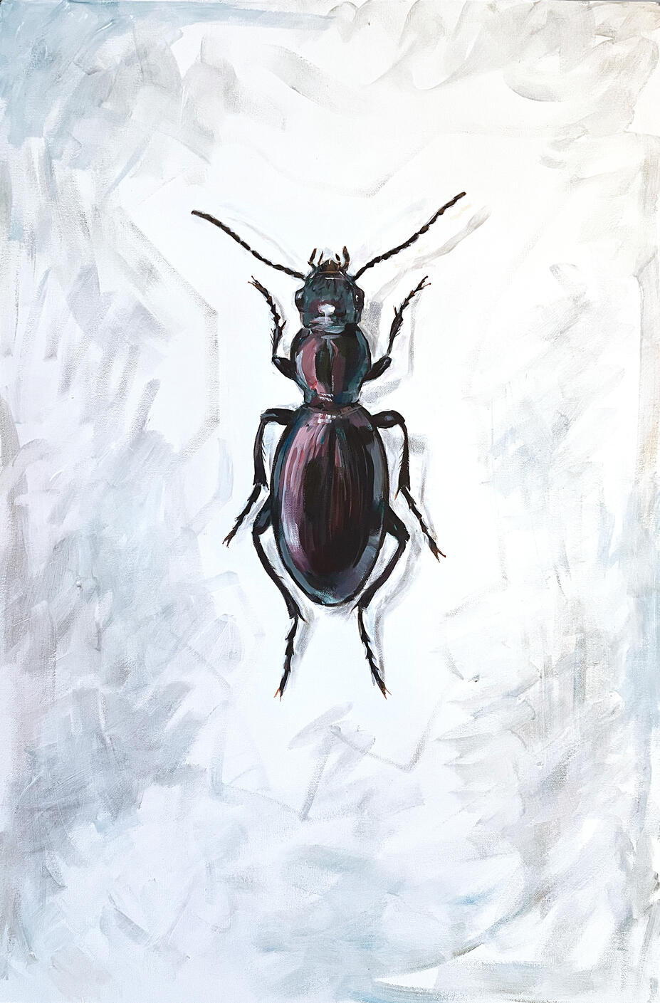 Acrylic painting of a Zacotus matthewsii beetle from above