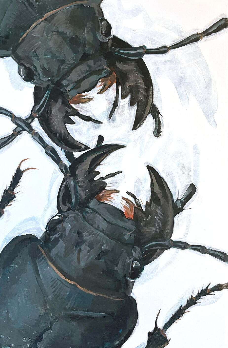 Acrylic painting of close-up heads of two Omus dejeanii tiger beetles
