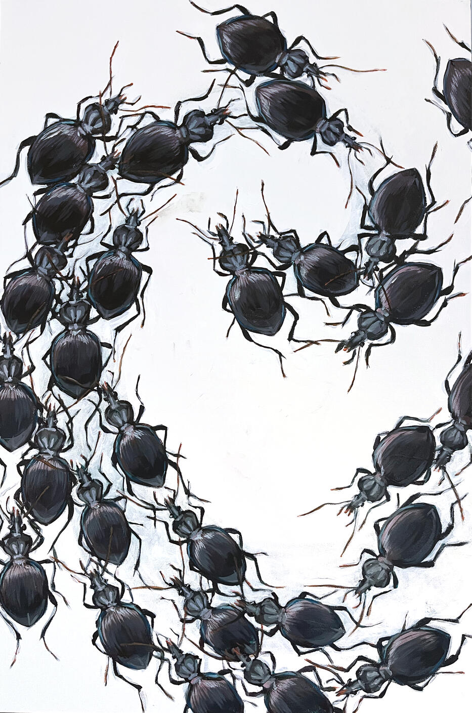 Acrylic painting of many Scaphinotus marginatus beetles moving in a spiral