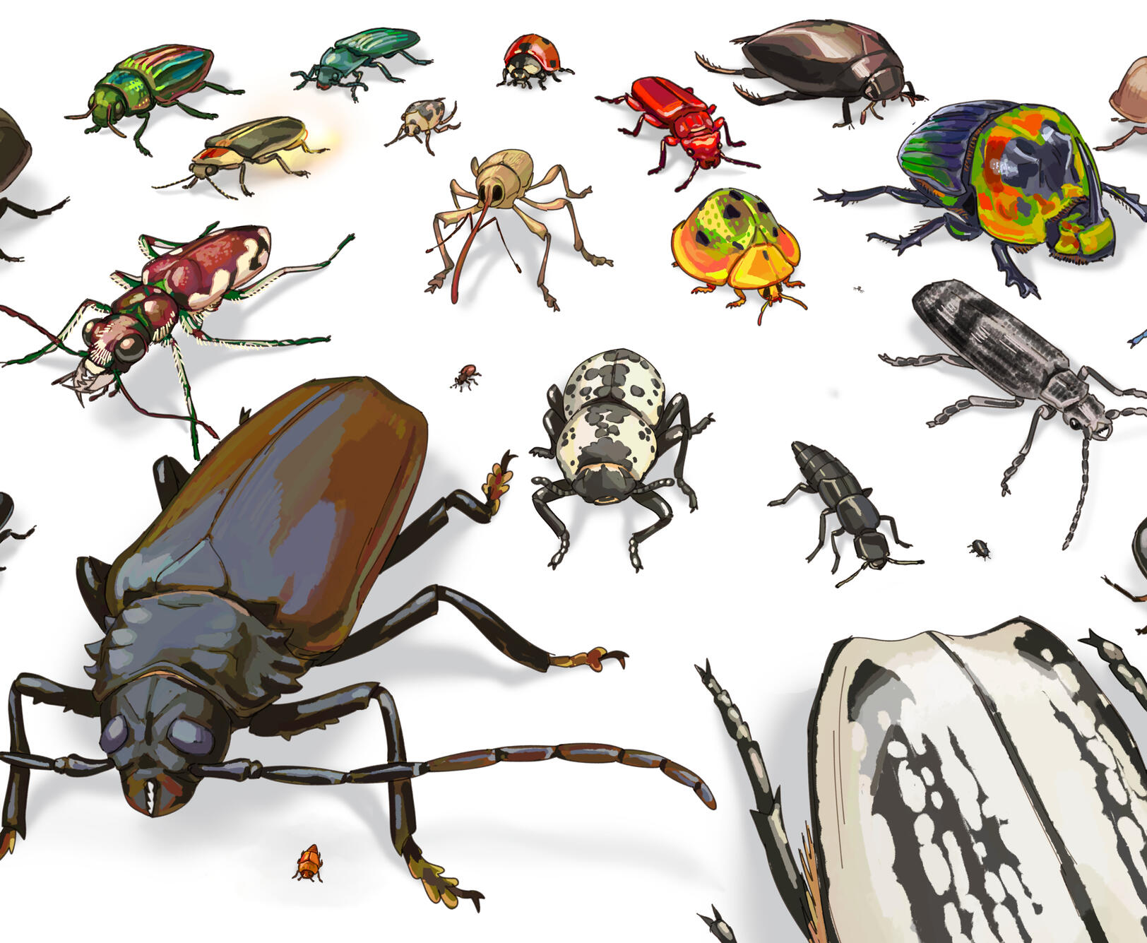 Beetle March (digital, 2026)