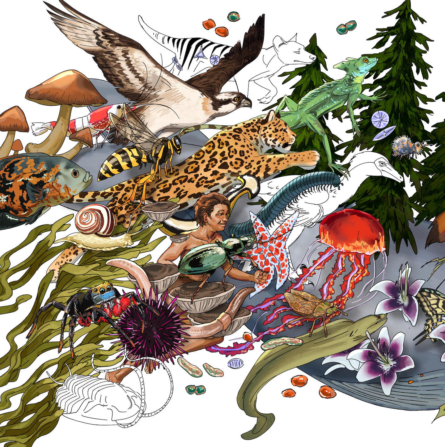 Illustration of many different extinct and living organisms moving together